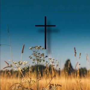 Meet your Posher, Lydia